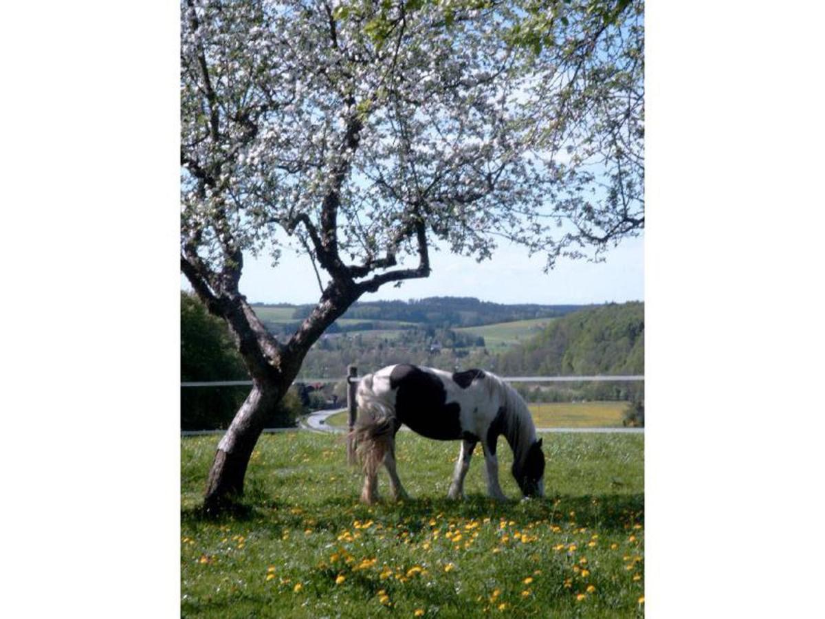Ferienwohnung Held Waging am See Exterior foto